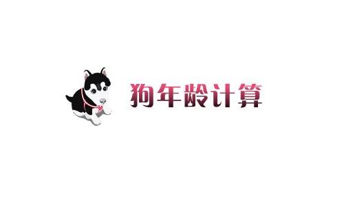狗的年龄和人类的年龄相