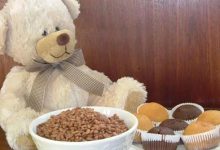 泰迪为何突然不吃狗粮-爱狗网