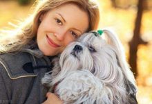 约克夏梗的性格-爱狗网