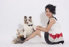 训练狗狗的四种基本方法-爱狗网