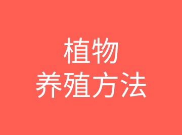 植物养殖方法