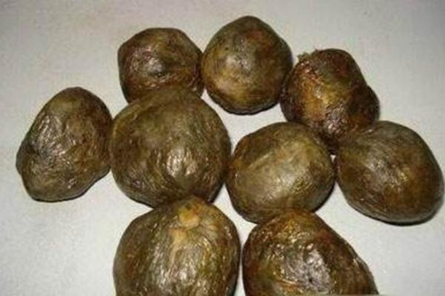 未处理的蜂胶