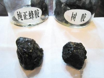 澳洲蜂胶的秘密