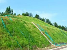 边坡绿化多少钱1平方米