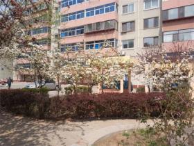 园丁小区怎么样