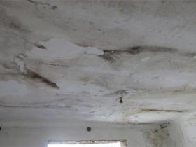 鉴定房屋漏水需要多少费用