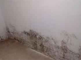 墙面发霉怎么办
