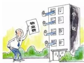 物业费是从什么时候开始收取