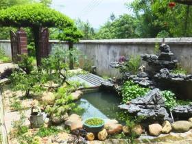 庭院绿化技巧与原则